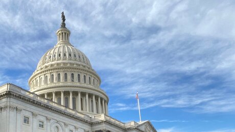 notshy 77 best pornstar archive