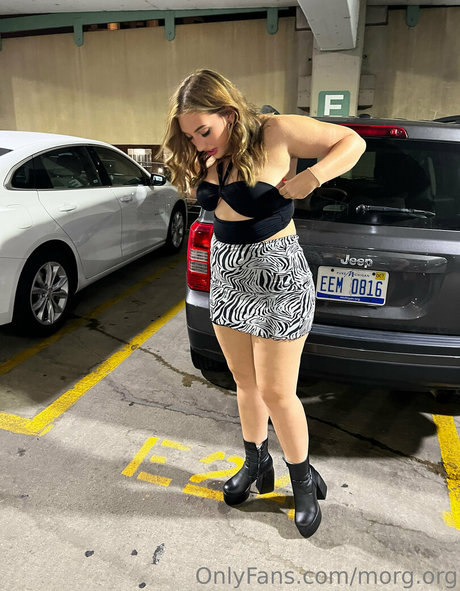 morg org star high quality pic