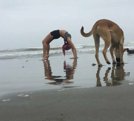 pawg ebony onlyfans nice gallery