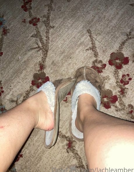 lachleamber pornstar adult pics