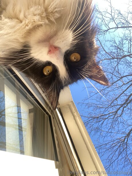 nude asian onlyfans art naked img