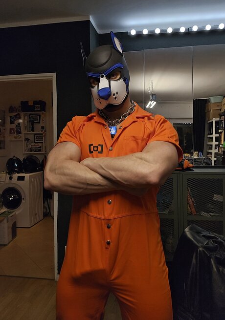 pupbuday exclusive pornstar archive