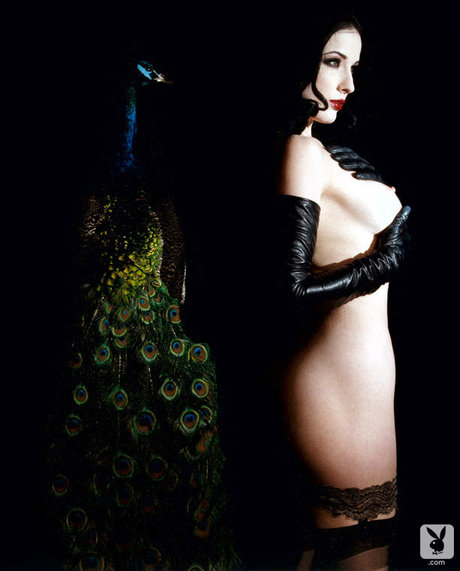 Dita Von Teese model perfect photo