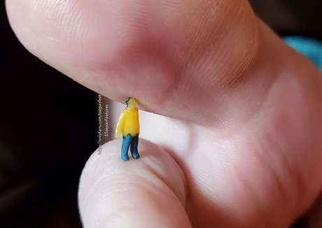 toepazfeetures pornstar high quality archive