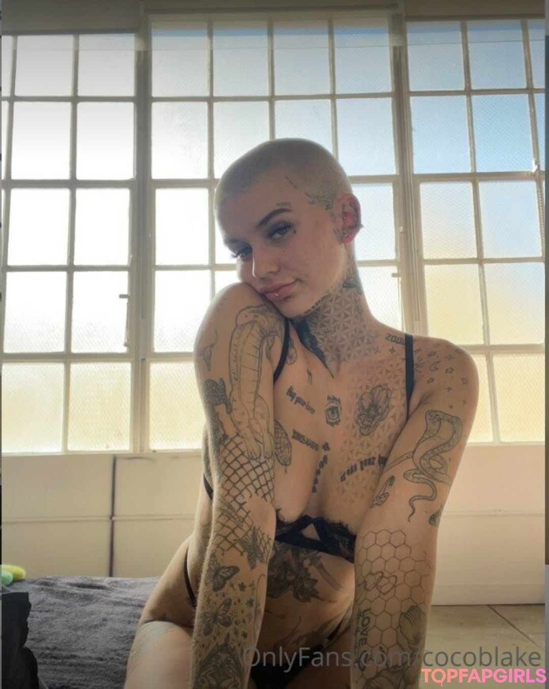 Coco Blake pornstar pretty picture