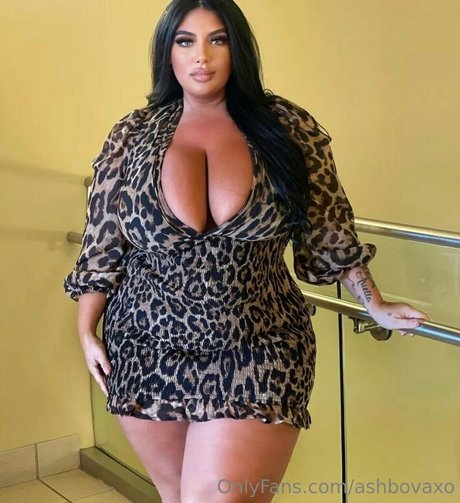 ashbovaxo Profile pic