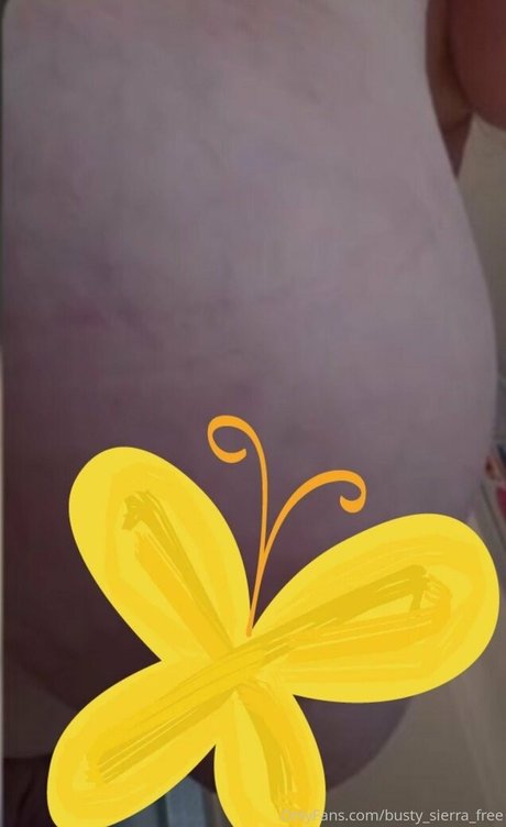 busty sierra free star beautiful galleries