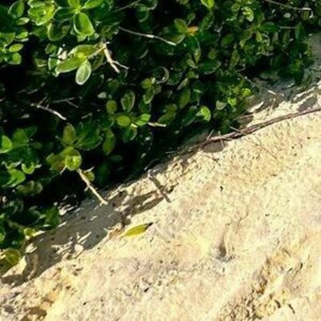 Jojo Siwa star nude galleries