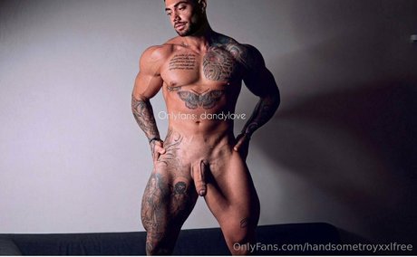 handsometroyxxlfree pretty pornstar image