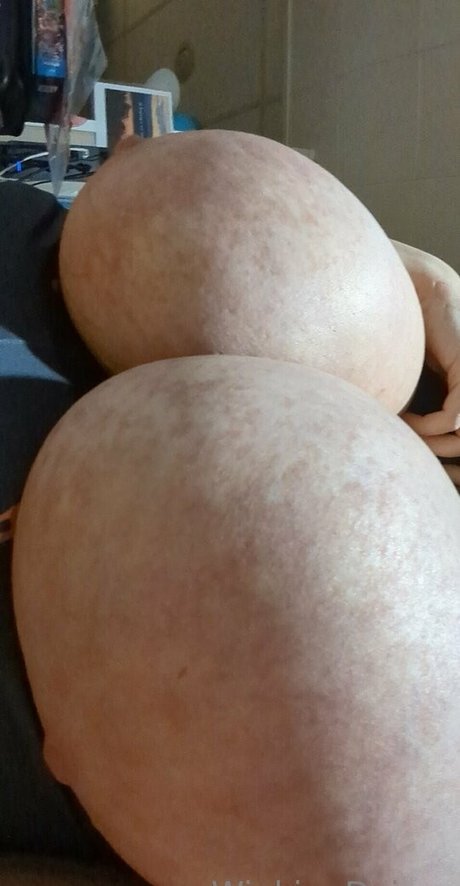 winkingdaisys model nice galleries