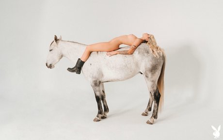 Ryan Hadarah model pornographic pics