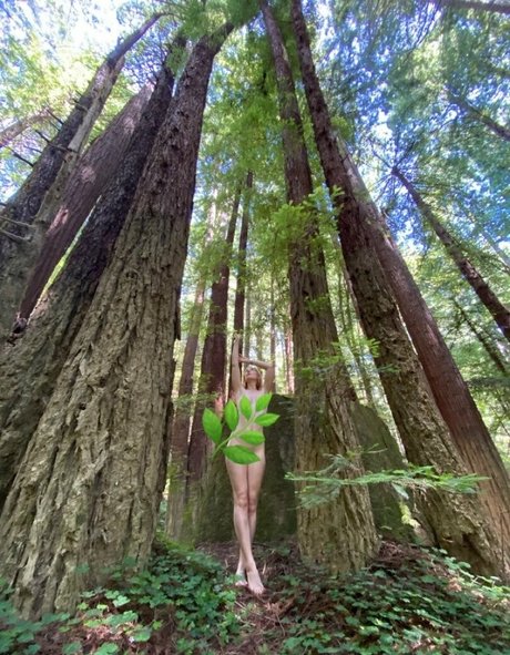 vesperdollfree star best gallery