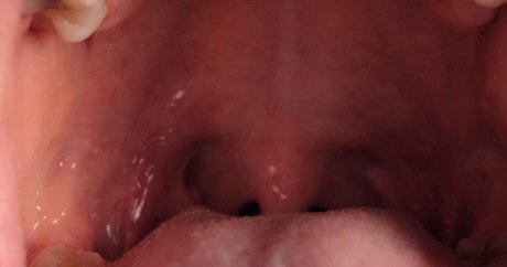 ellieidolfemdom star free photos