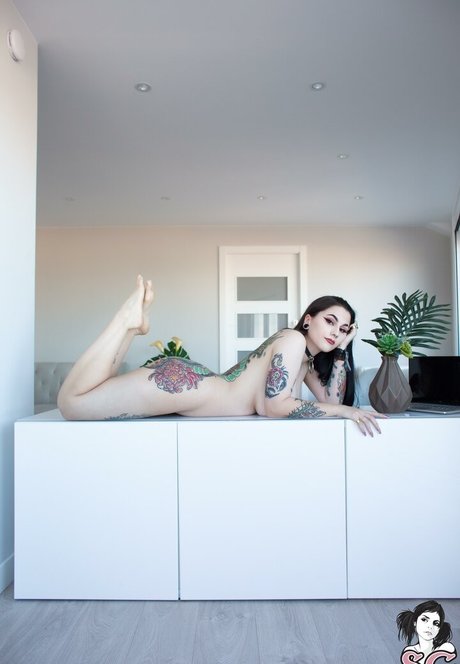 Douji perfect pornstar gallery