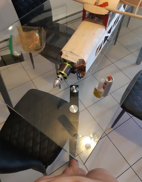 avrilvixxxen star free photos