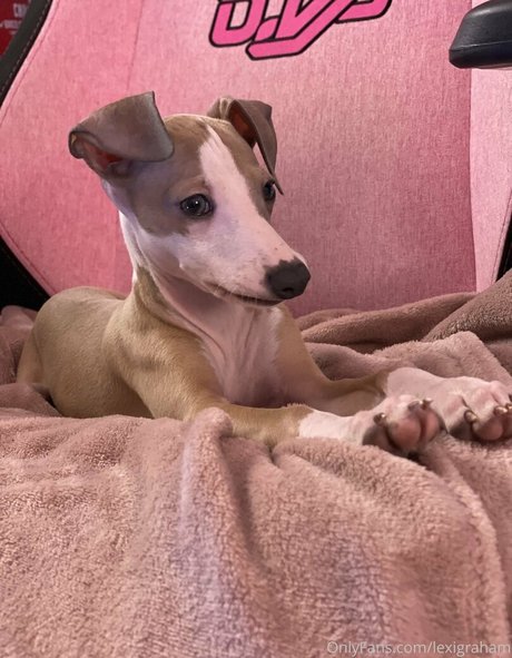 LexiGraham model exclusive photo