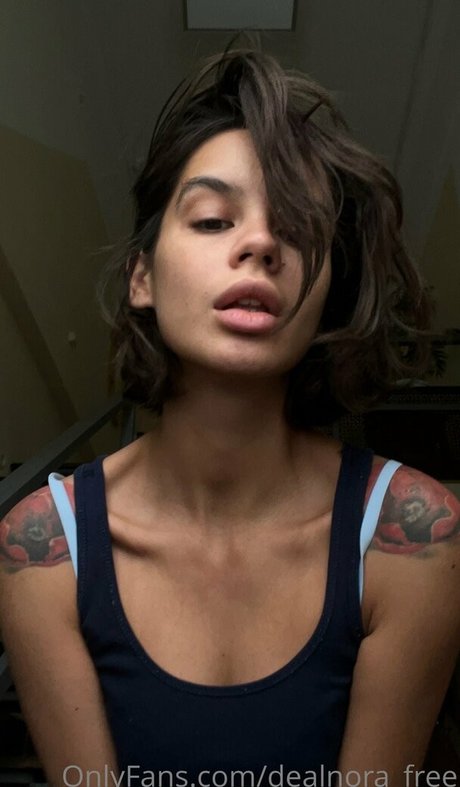 dealnora free star adult gallery