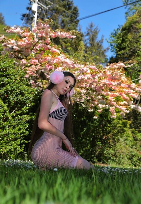 Lisi Flex nude pornstar galleries