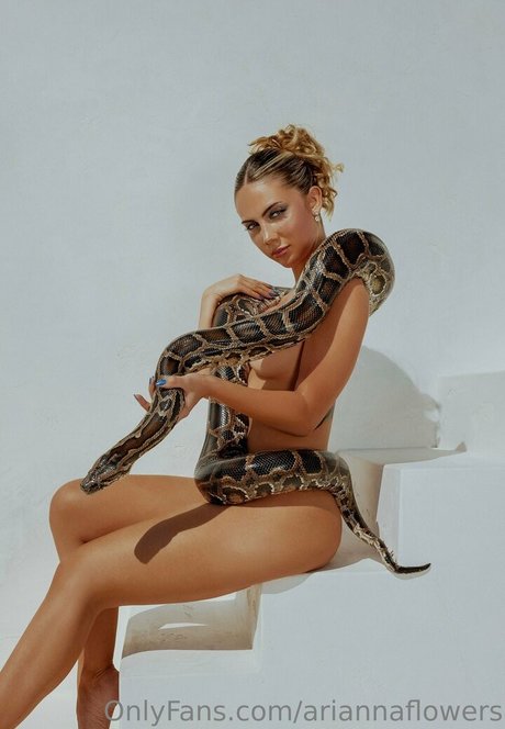 asian findom onlyfans xxx images