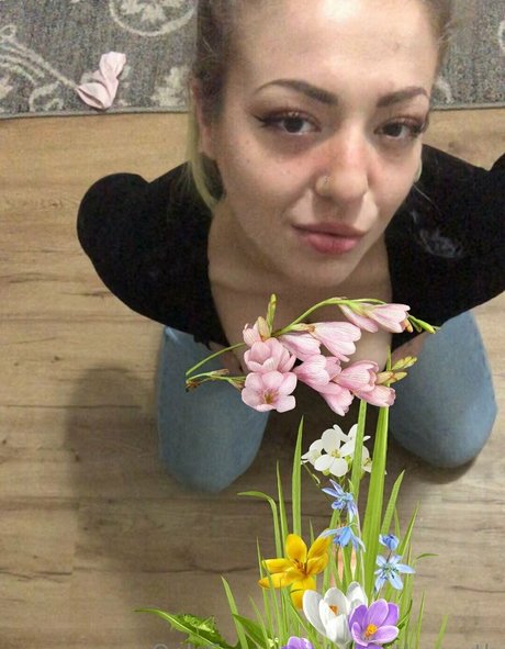 oliviathenorth free star image