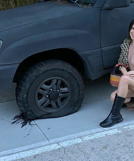 Scout Willis Profile pic