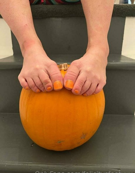 felicitysfeetxxx best pornstar photo