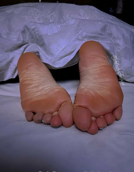 felicitysfeetxxx pornstar free photo