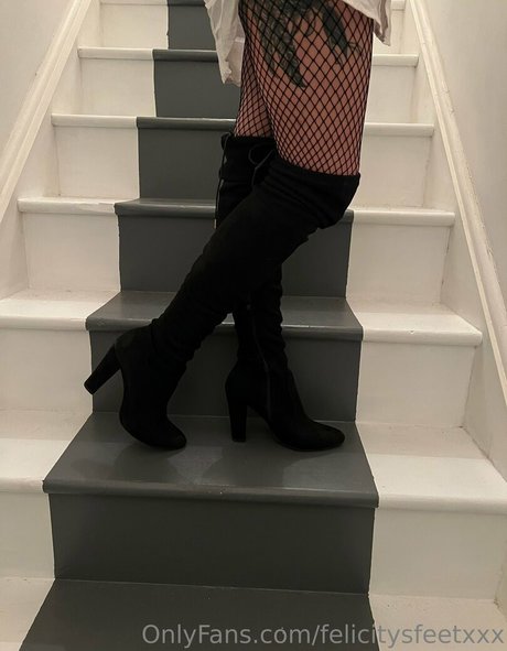 felicitysfeetxxx nice pornstar photos