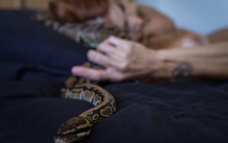 littleastronaut sex actress picture