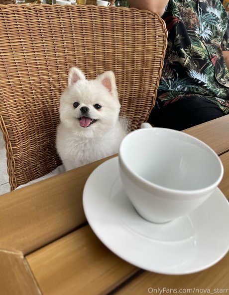 nova starr art model gallery