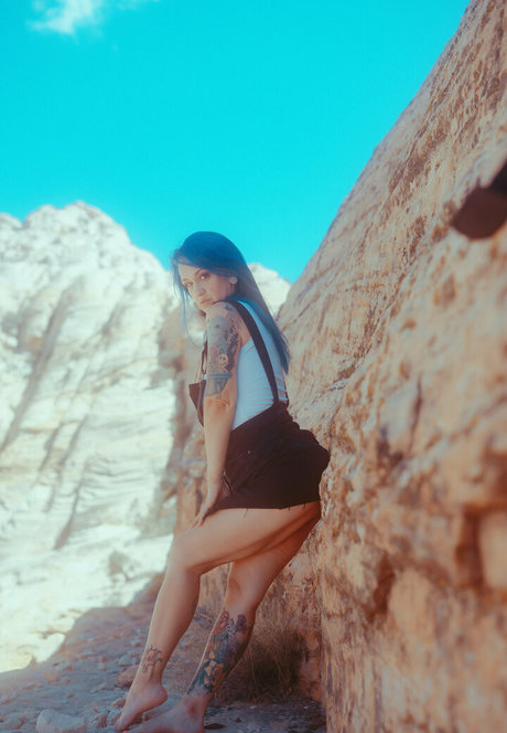 mscooky model hd img