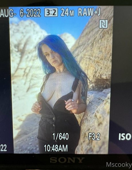 mscooky star high quality galleries