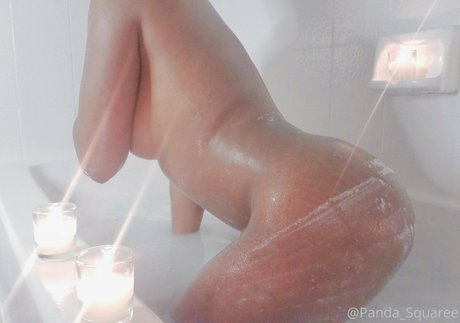 panda squaree high quality model images