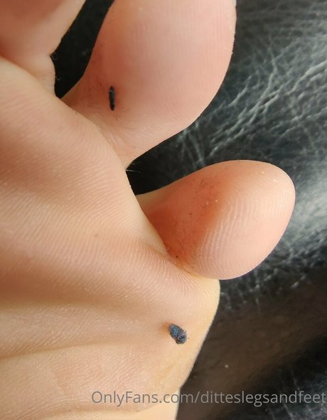 ditteslegsandfeet art pornstar gallery