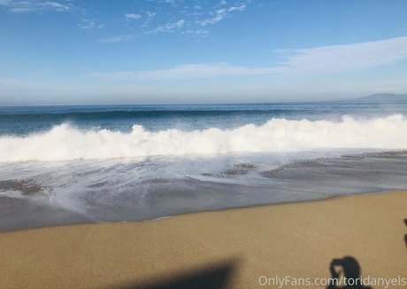 toridanyels pornstar top gallery