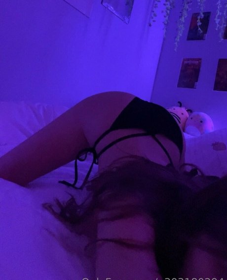 Dumbuni model top images