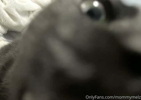 mommymelz pornstar hd image