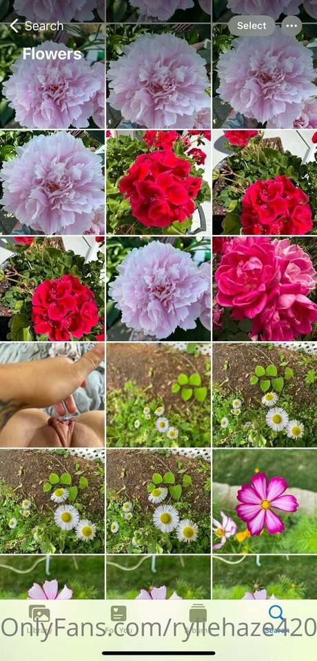 fat ass anal onlyfans art nude photos