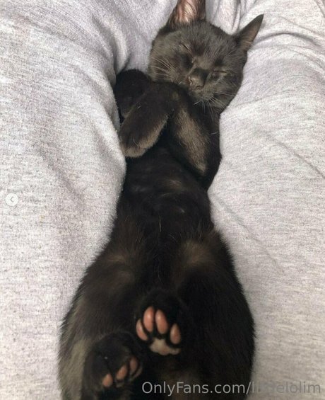 littlelolim erotic actress pics