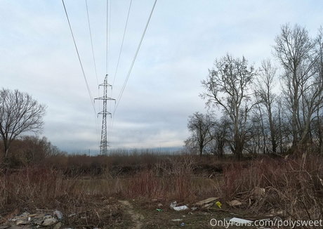 polysweet high quality pornstar pic