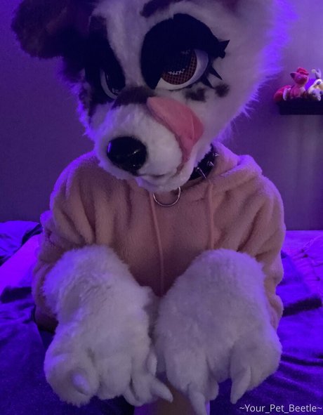 strwbrryinsides pornographic star image