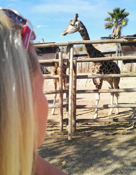 celebrity gay onlyfans beautiful naked pictures