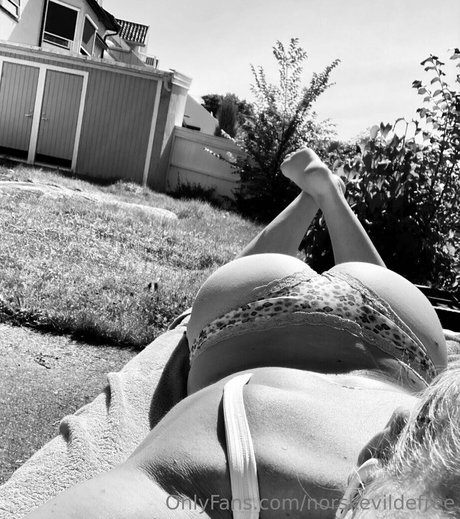 norskevildefree model art images