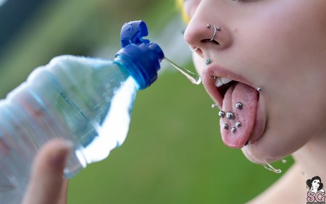 eveowl high quality pornstar img