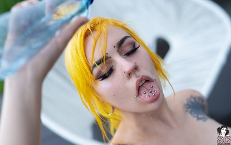 eveowl star nice pics