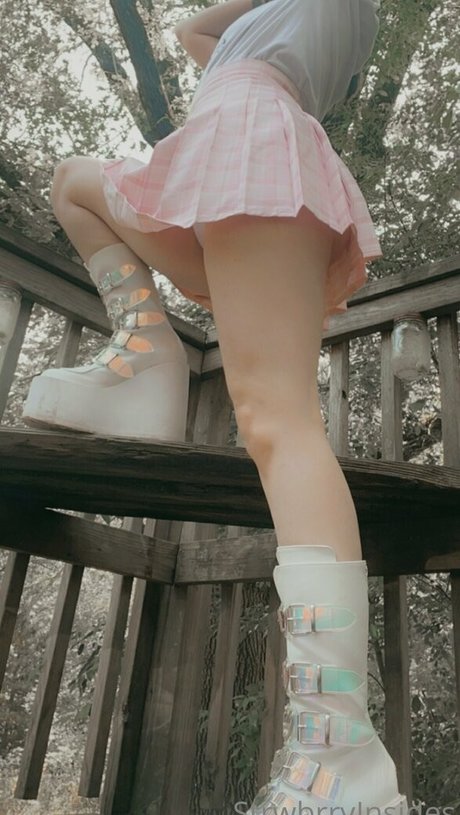 viinusflytrap star beautiful galleries