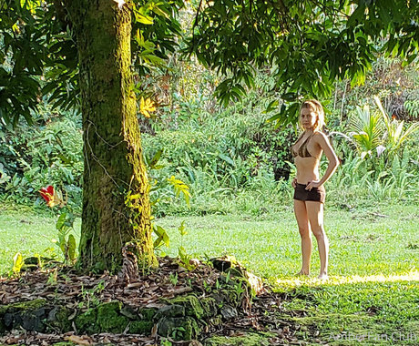 Nina Rei pornstar nude galleries