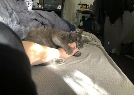 bunny nurse onlyfans sexy archive