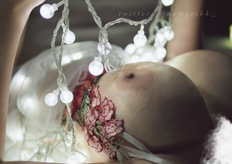 Npxvip nude model img