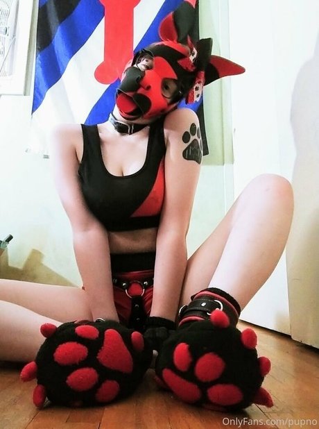 Kodi pup star erotic img